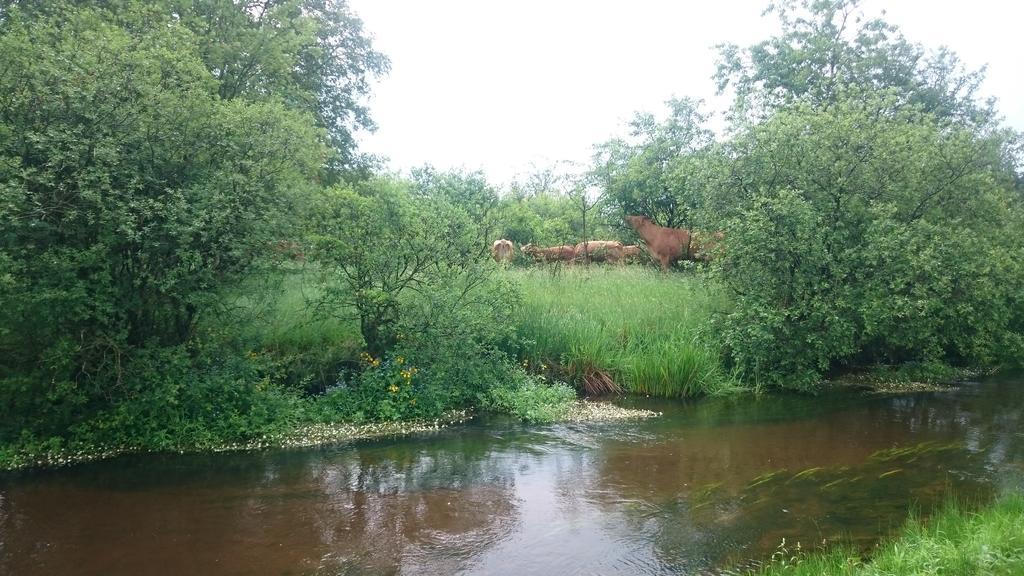 Aagaarden Apartman Billund Kültér fotó